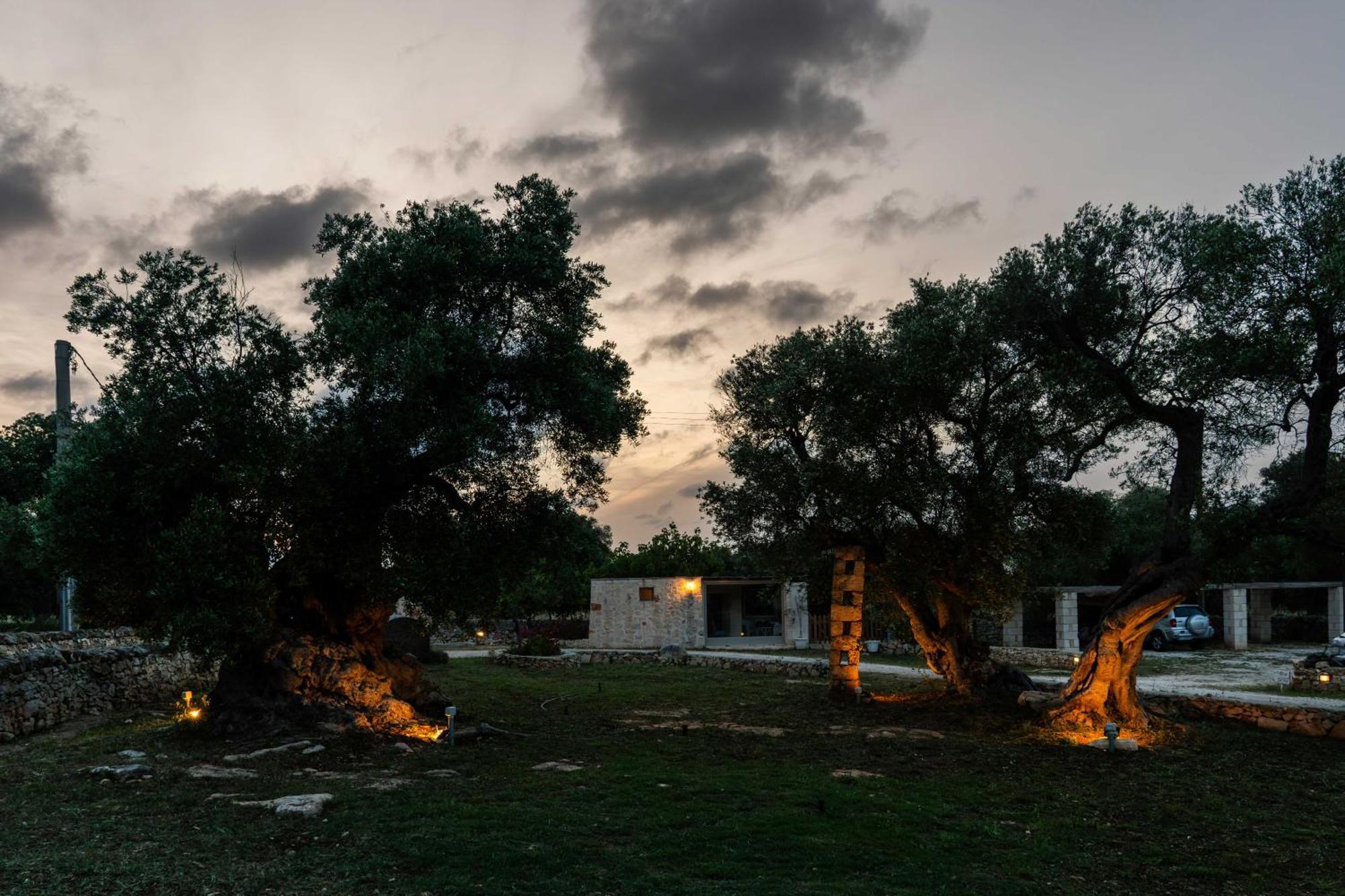 Masseria Della Piana Bed & Breakfast Villanova di Ostuni
